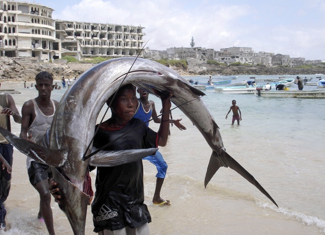 Investment Opportunities in Somali Fisheries